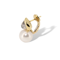 Boucles d'oreilles Salvini Femme in Or jaune Diamante 0.03 Ct AOP29170 - AOP29170